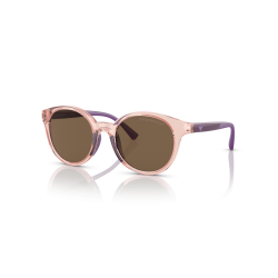 Óculos De Sol Para Crianças Emporio Armani Feminino 0ek4185 Transparent Pink Dark Brown